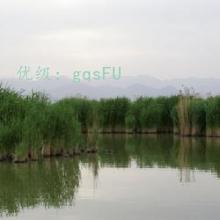 ĩ